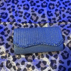 Elegant Sliver Clutch